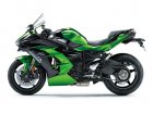 Kawasaki H2 SX-SE Ninja